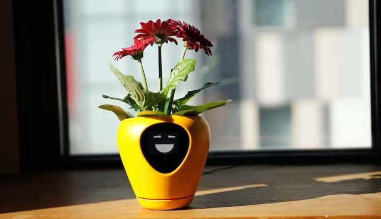 Discover the Joy of Greenery with Virtual Pet Planter Pots: Your Daily Companion in Gardening